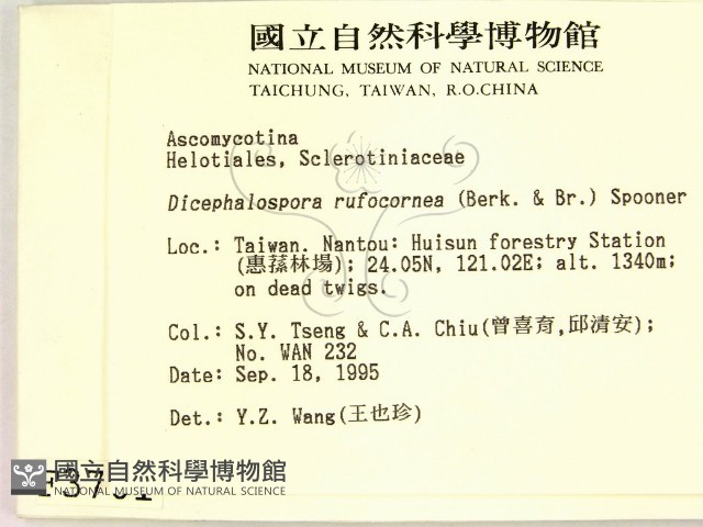 登錄號:F0003701藏品圖，第2張
