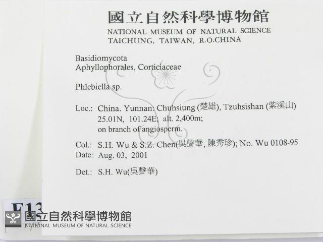 登錄號:F0013701藏品圖，第2張