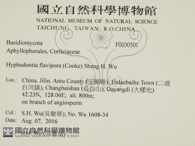 登錄號:F0030501藏品圖，第2張