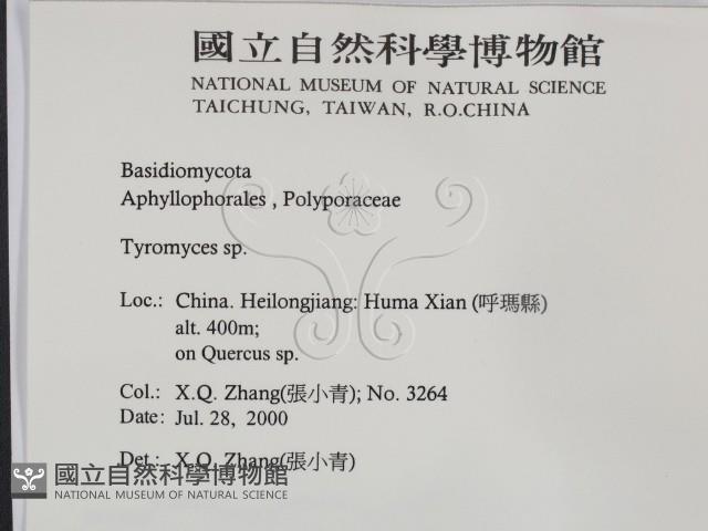 登錄號:F0016501藏品圖，第2張