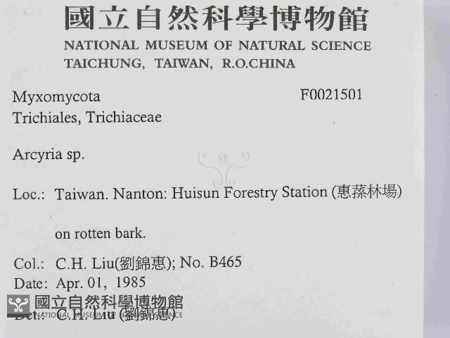 登錄號:F0021501藏品圖，第2張