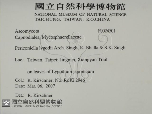 登錄號:F0024501藏品圖，第2張