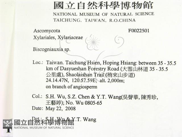 登錄號:F0022501藏品圖，第2張