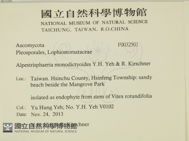 登錄號:F0032501藏品圖，第2張