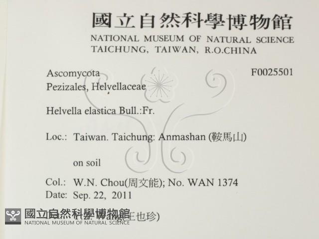 登錄號:F0025501藏品圖，第2張