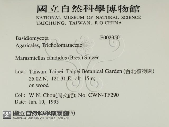 登錄號:F0023501藏品圖，第2張
