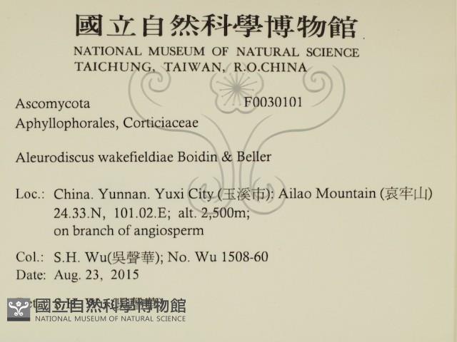 登錄號:F0030101藏品圖，第2張