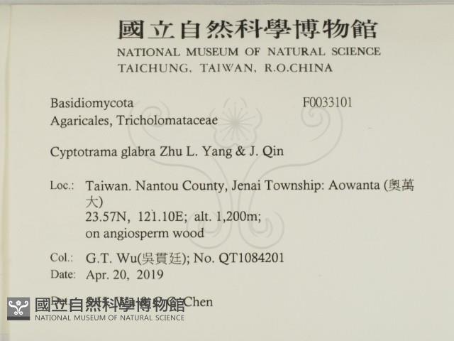 登錄號:F0033101藏品圖，第2張