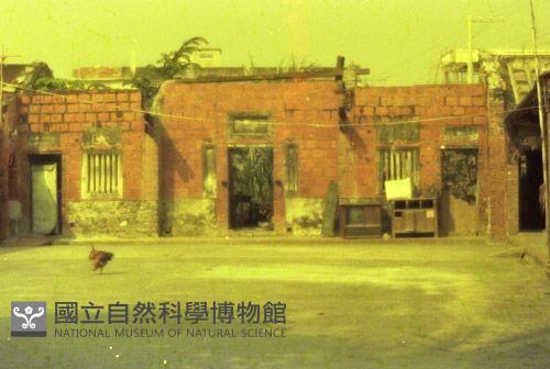 1950至2006年臺灣常民生活藏品圖，第1張