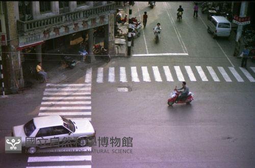 1950至2006年臺灣常民生活藏品圖，第1張