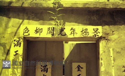 1950至2006年臺灣常民生活藏品圖，第1張