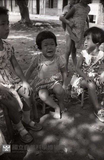 1950至2006年臺灣常民生活藏品圖，第1張