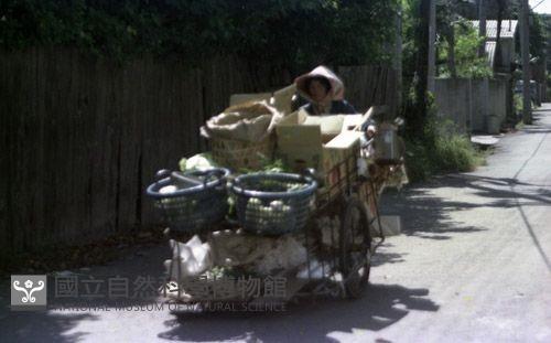1950至2006年臺灣常民生活藏品圖，第1張