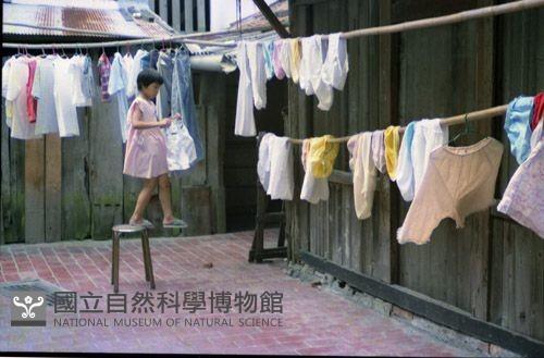 1950至2006年臺灣常民生活藏品圖，第1張
