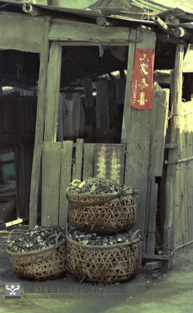 1950至2006年臺灣常民生活藏品圖，第1張