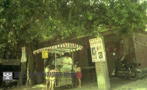 1950至2006年臺灣常民生活藏品圖，第1張