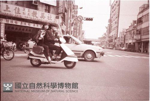 1950至2006年臺灣常民生活藏品圖，第1張