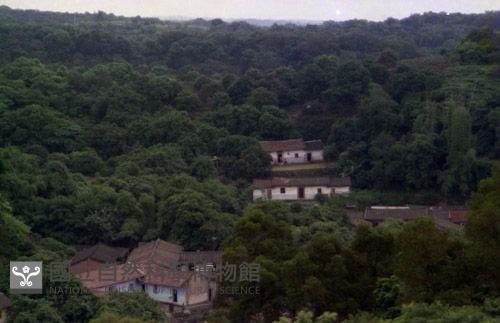 1950至2006年臺灣常民生活藏品圖，第1張