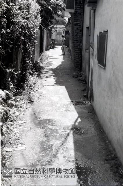 1950至2006年臺灣常民生活藏品圖，第1張