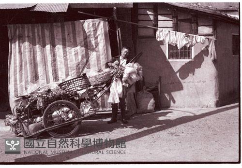 1950至2006年臺灣常民生活藏品圖，第1張