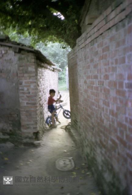 1950至2006年臺灣常民生活藏品圖，第1張
