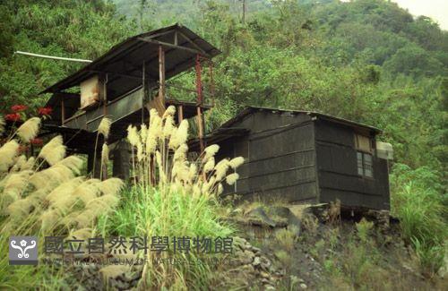 1950至2006年臺灣常民生活藏品圖，第1張