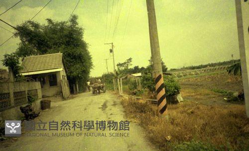 1950至2006年臺灣常民生活藏品圖，第1張