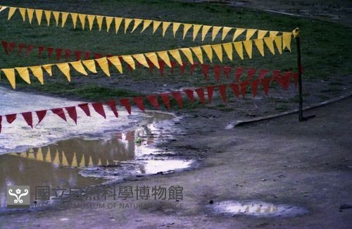 1950至2006年臺灣常民生活藏品圖，第1張