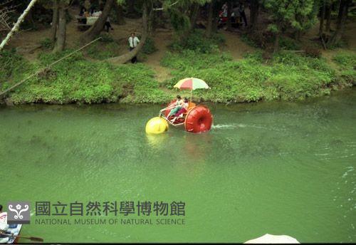 1950至2006年臺灣常民生活藏品圖，第1張