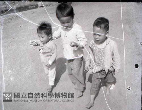 1950至2006年台灣常民生活藏品圖，第1張