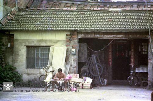 1950至2006年臺灣常民生活藏品圖，第1張