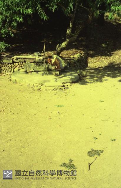 1950至2006年臺灣常民生活藏品圖，第1張