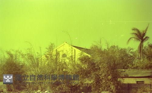 1950至2006年臺灣常民生活藏品圖，第1張