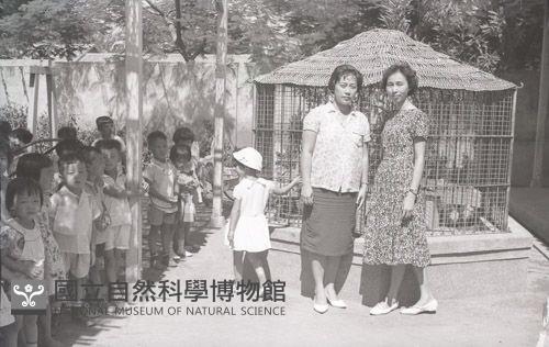 1950至2006年臺灣常民生活藏品圖，第1張
