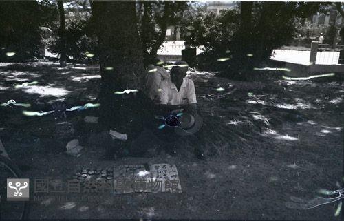 1950至2006年臺灣常民生活藏品圖，第1張