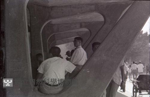 1950至2006年臺灣常民生活藏品圖，第1張