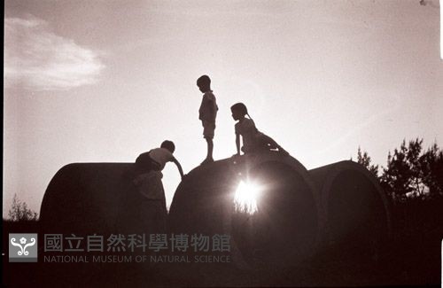 1950至2006年臺灣常民生活藏品圖，第1張