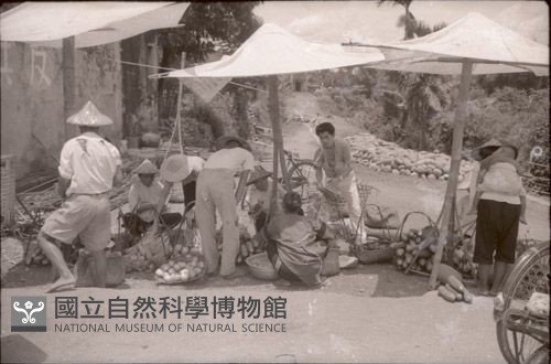 1950至2006年臺灣常民生活藏品圖，第1張