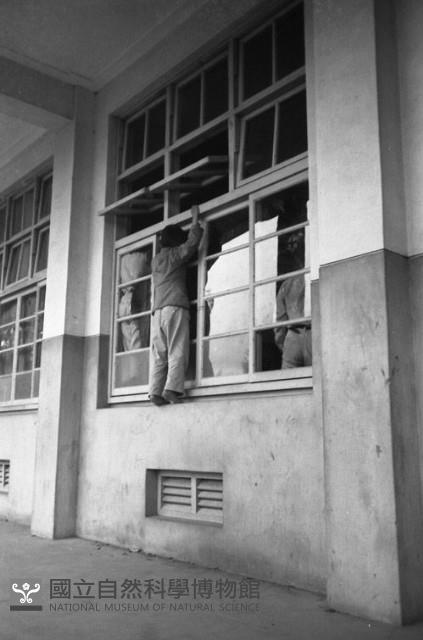 1950至2006年臺灣常民生活藏品圖，第1張