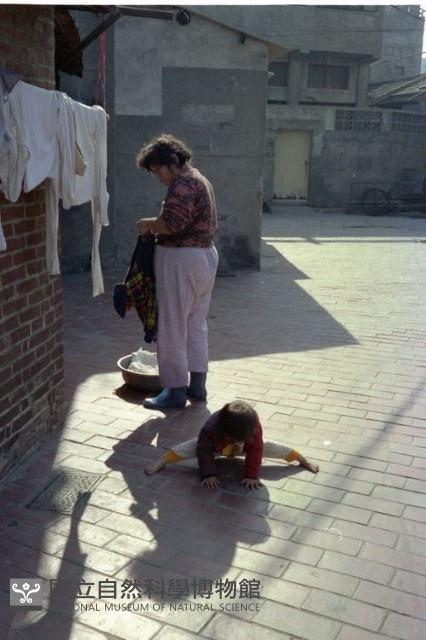 1950至2006年臺灣常民生活藏品圖，第1張