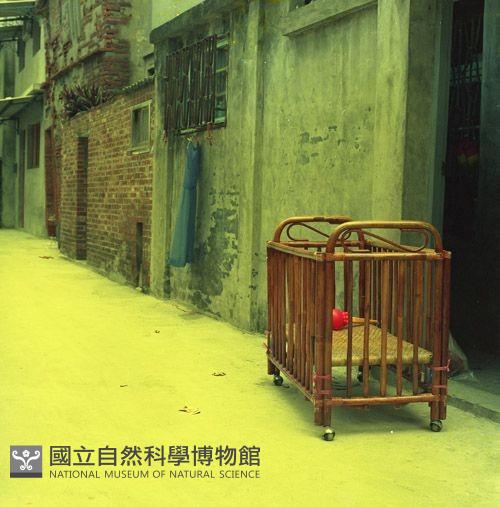 1950至2006年臺灣常民生活藏品圖，第1張