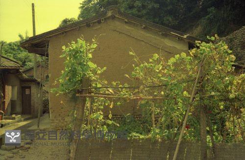 1950至2006年臺灣常民生活藏品圖，第1張