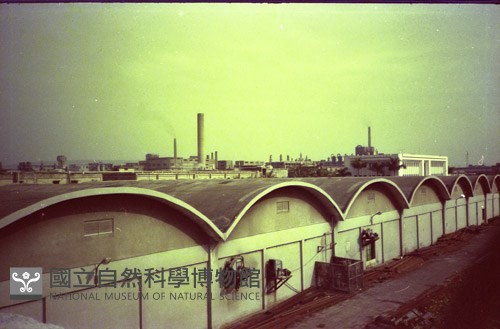 1950至2006年臺灣常民生活藏品圖，第1張