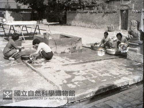 1950至2006年台灣常民生活藏品圖，第1張