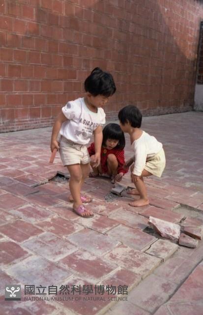 1950至2006年臺灣常民生活藏品圖，第1張