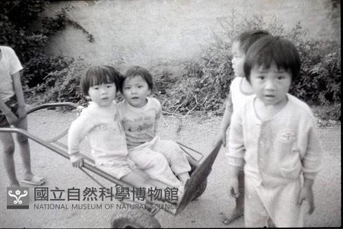 1950至2006年臺灣常民生活藏品圖，第1張