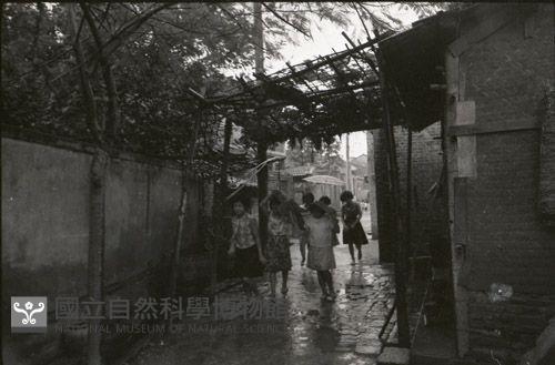 1950至2006年臺灣常民生活藏品圖，第1張