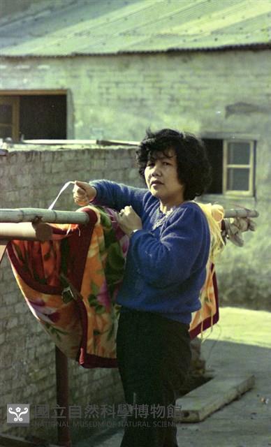 1950至2006年臺灣常民生活藏品圖，第1張