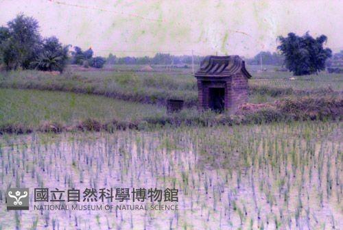 1950至2006年臺灣常民生活藏品圖，第1張