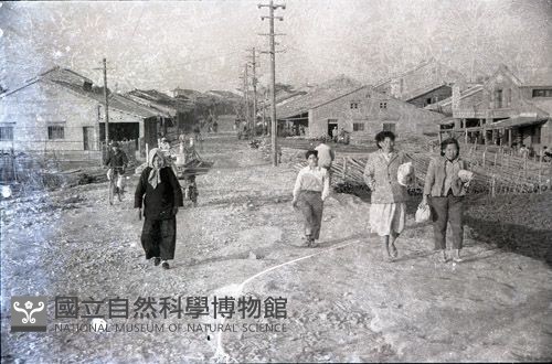 1950至2006年臺灣常民生活藏品圖，第1張